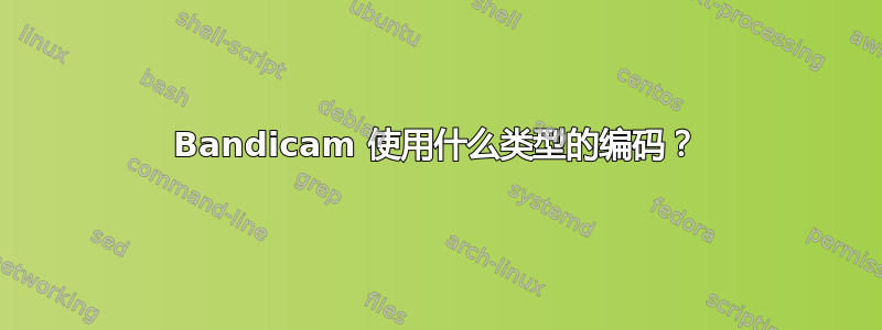 Bandicam 使用什么类型的编码？