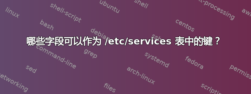 哪些字段可以作为 /etc/services 表中的键？