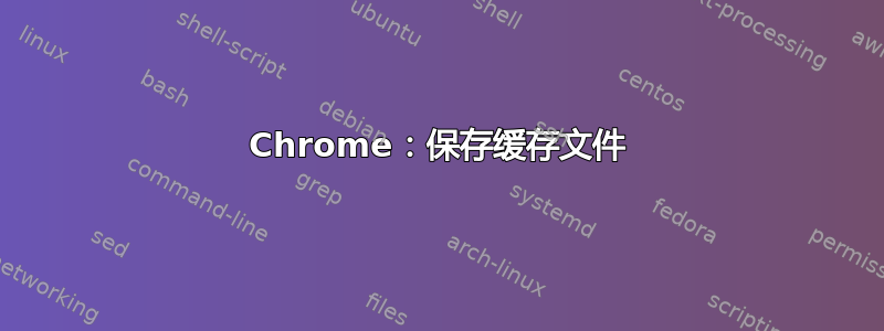 Chrome：保存缓存文件