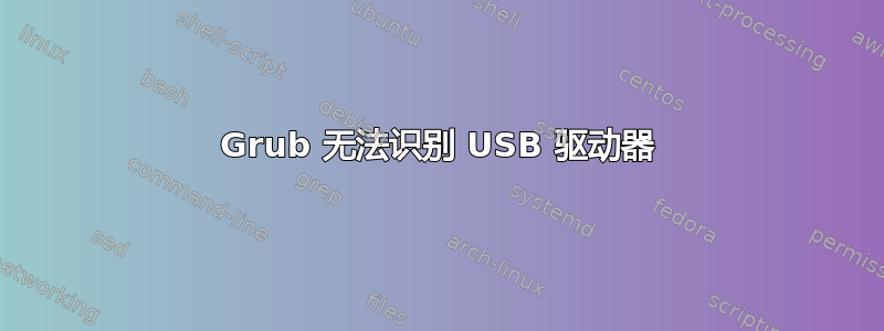 Grub 无法识别 USB 驱动器