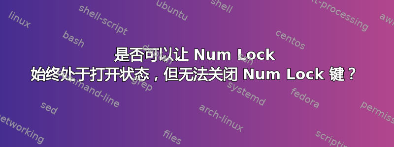 是否可以让 Num Lock 始终处于打开状态，但无法关闭 Num Lock 键？