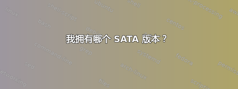 我拥有哪个 SATA 版本？