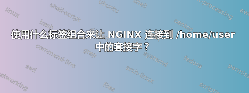 使用什么标签组合来让 NGINX 连接到 /home/user 中的套接字？