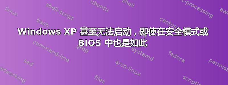 Windows XP 甚至无法启动，即使在安全模式或 BIOS 中也是如此