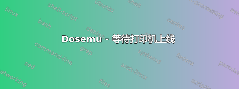 Dosemu - 等待打印机上线