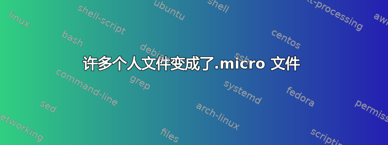 许多个人文件变成了.micro 文件