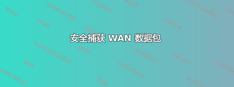 安全捕获 WAN 数据包