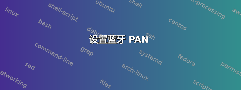 设置蓝牙 PAN