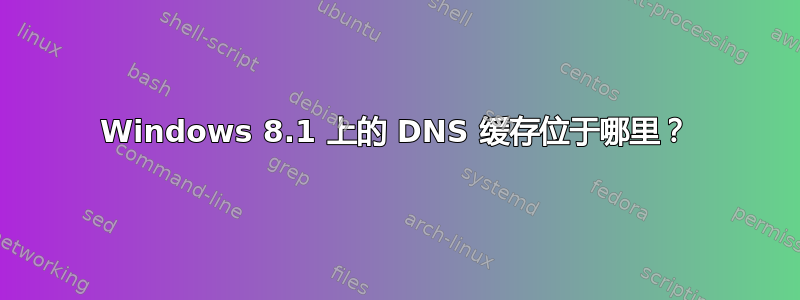 Windows 8.1 上的 DNS 缓存位于哪里？