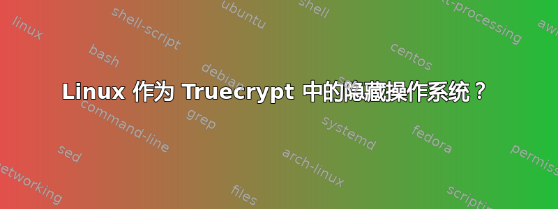 Linux 作为 Truecrypt 中的隐藏操作系统？