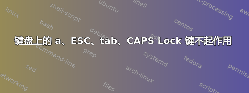 键盘上的 a、ESC、tab、CAPS Lock 键不起作用