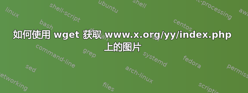 如何使用 wget 获取 www.x.org/yy/index.php 上的图片