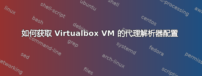 如何获取 Virtualbox VM 的代理解析器配置