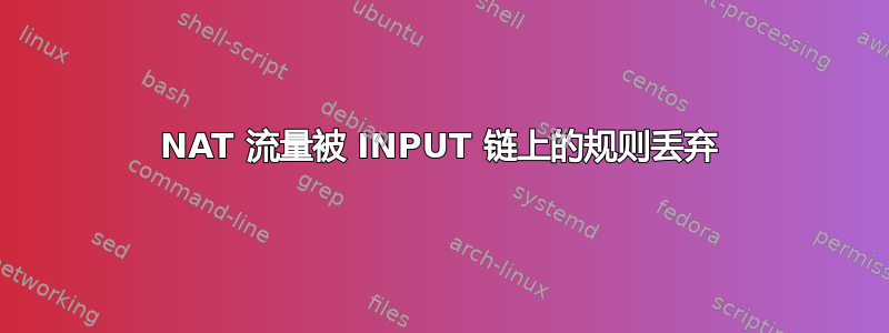 NAT 流量被 INPUT 链上的规则丢弃