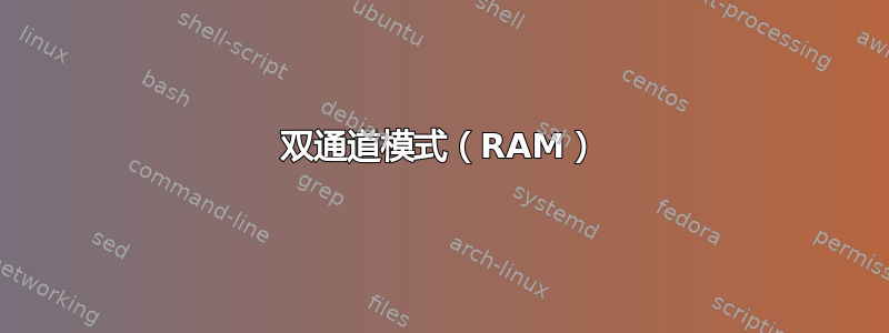 双通道模式（RAM）