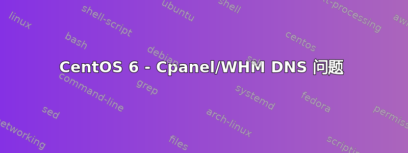 CentOS 6 - Cpanel/WHM DNS 问题