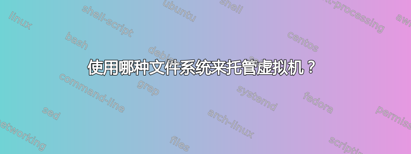 使用哪种文件系统来托管虚拟机？