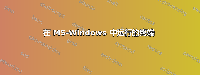 在 MS-Windows 中运行的终端