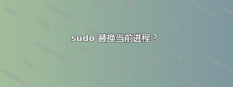 sudo 替换当前进程？