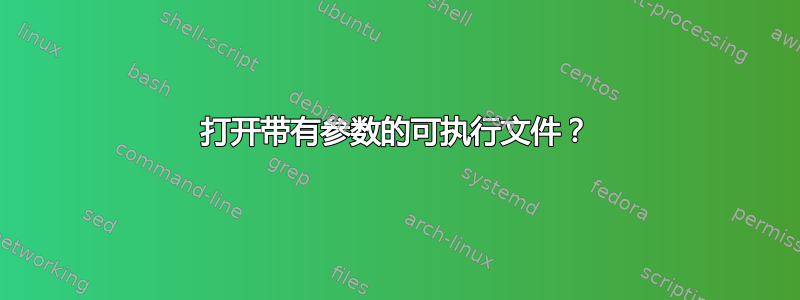 打开带有参数的可执行文件？