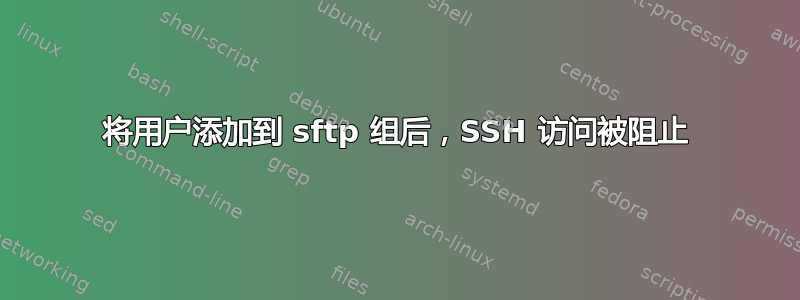 将用户添加到 sftp 组后，SSH 访问被阻止