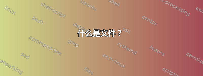 什么是文件？