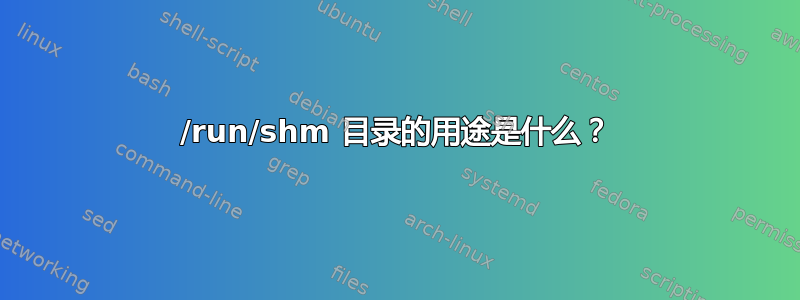 /run/shm 目录的用途是什么？