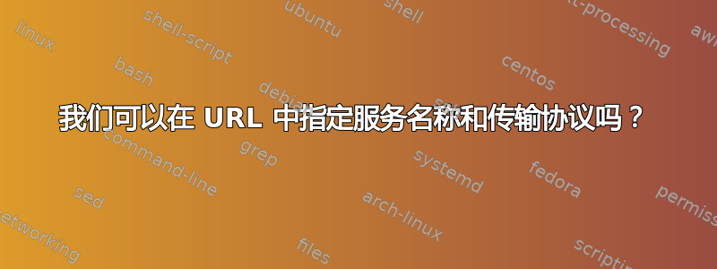 我们可以在 URL 中指定服务名称和传输协议吗？