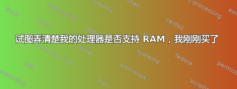 试图弄清楚我的处理器是否支持 RAM，我刚刚买了