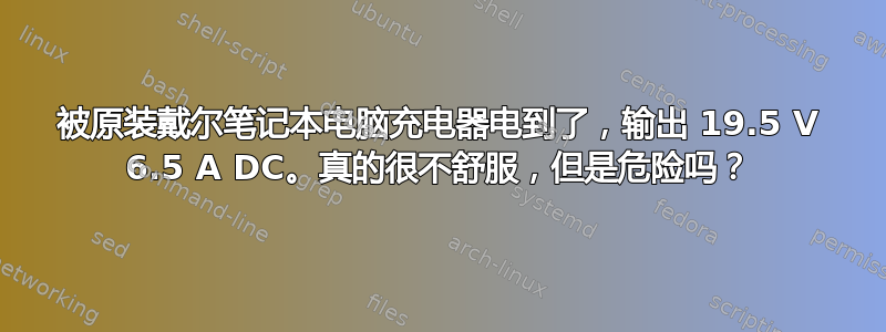 被原装戴尔笔记本电脑充电器电到了，输出 19.5 V 6.5 A DC。真的很不舒服，但是危险吗？