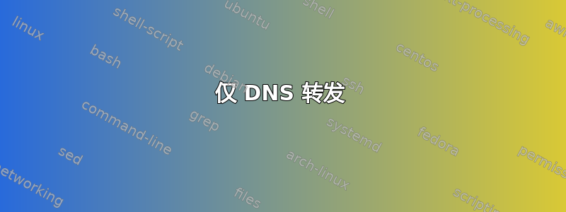 仅 DNS 转发