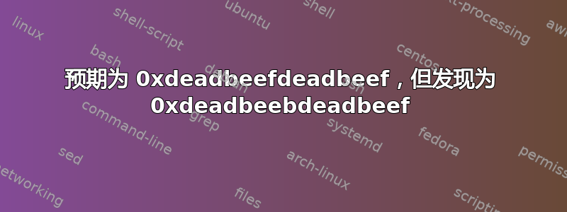 预期为 0xdeadbeefdeadbeef，但发现为 0xdeadbeebdeadbeef