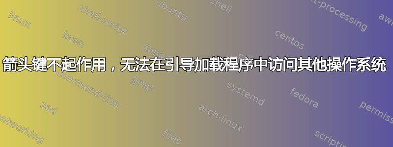 箭头键不起作用，无法在引导加载程序中访问其他操作系统