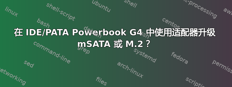 在 IDE/PATA Powerbook G4 中使用适配器升级 mSATA 或 M.2？