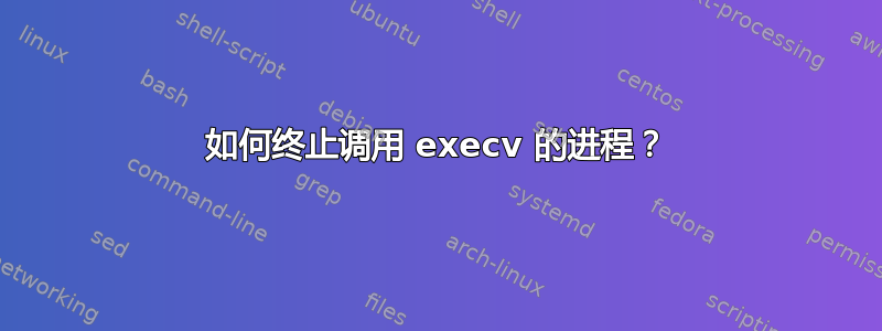 如何终止调用 execv 的进程？