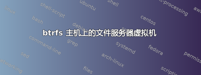 btrfs 主机上的文件服务器虚拟机