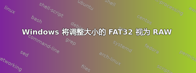 Windows 将调整大小的 FAT32 视为 RAW