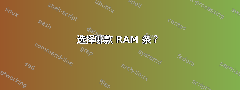 选择哪款 RAM 条？