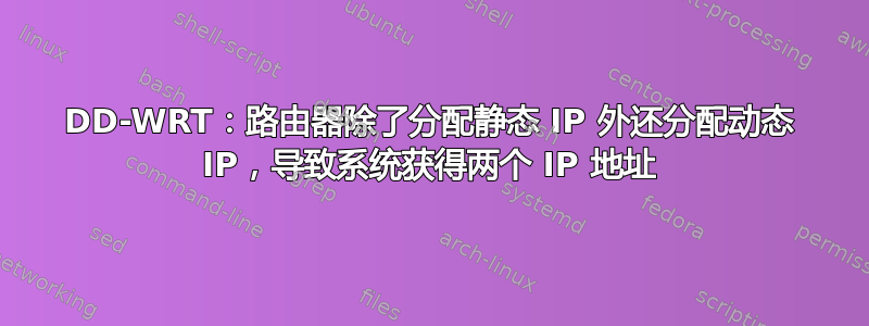 DD-WRT：路由器除了分配静态 IP 外还分配动态 IP，导致系统获得两个 IP 地址