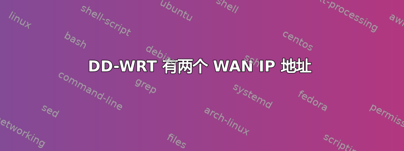 DD-WRT 有两个 WAN IP 地址