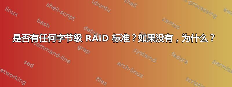 是否有任何字节级 RAID 标准？如果没有，为什么？