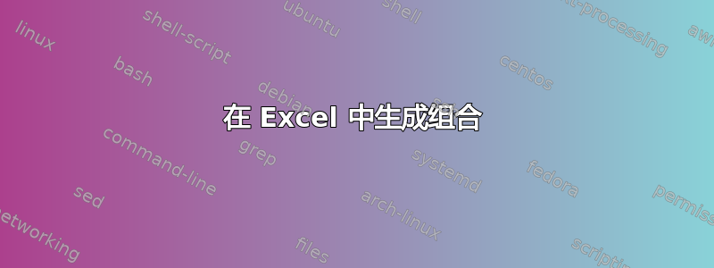 在 Excel 中生成组合