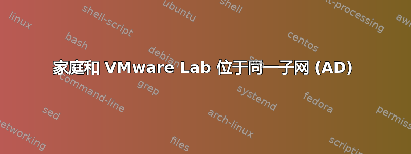 家庭和 VMware Lab 位于同一子网 (AD)