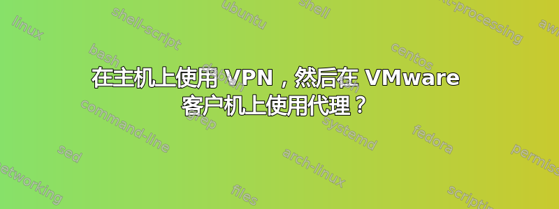 在主机上使用 VPN，然后在 VMware 客户机上使用代理？