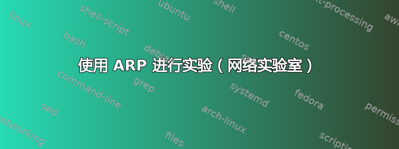 使用 ARP 进行实验（网络实验室）