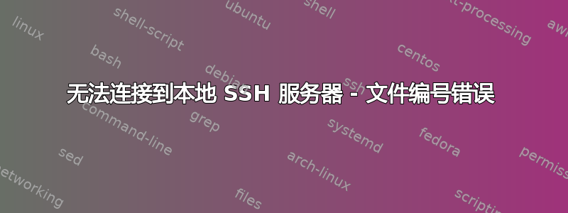 无法连接到本地 SSH 服务器 - 文件编号错误