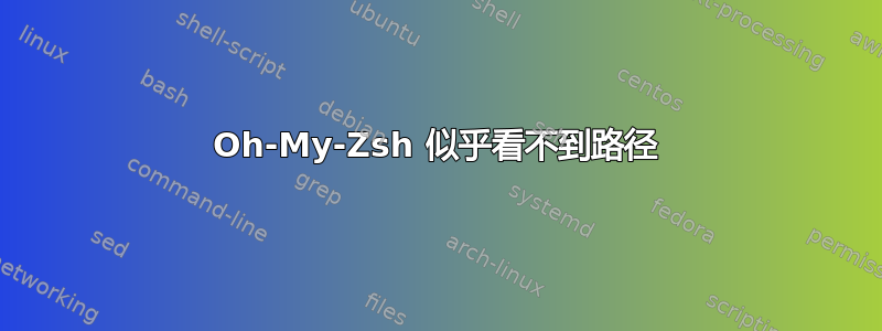 Oh-My-Zsh 似乎看不到路径