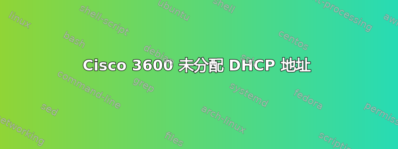 Cisco 3600 未分配 DHCP 地址