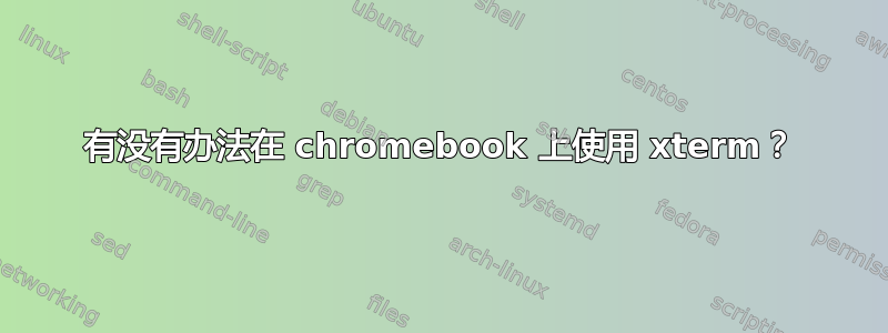 有没有办法在 chromebook 上使用 xterm？