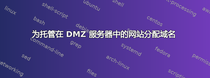 为托管在 DMZ 服务器中的网站分配域名